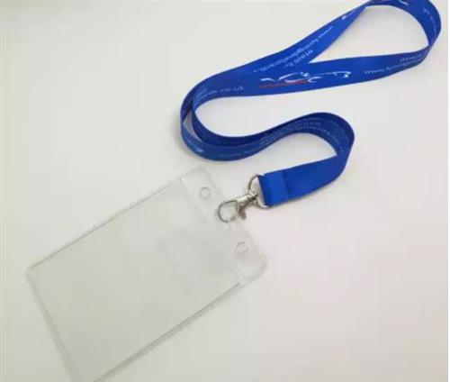 Lanyard